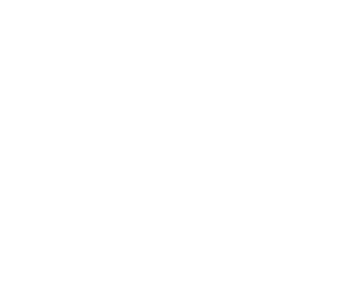 Black Wolf Chile ® | Wolves Family
